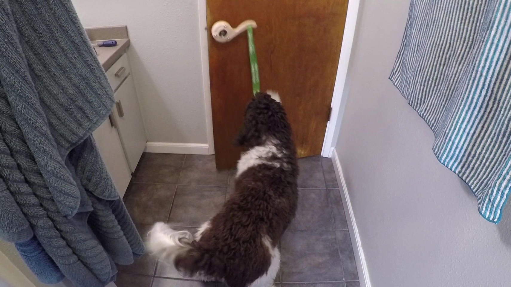 Daisy's 4-Step Restroom Help